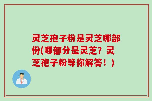 灵芝孢子粉是灵芝哪部份(哪部分是灵芝？灵芝孢子粉等你解答！)
