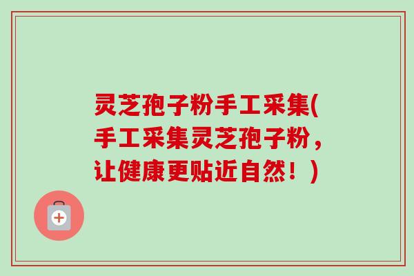 灵芝孢子粉手工采集(手工采集灵芝孢子粉，让健康更贴近自然！)