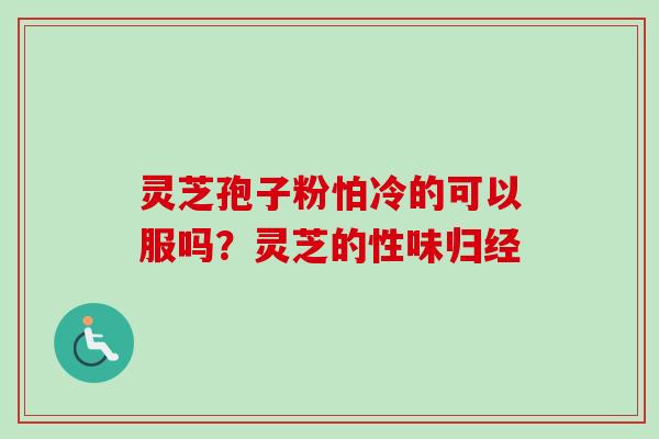 灵芝孢子粉怕冷的可以服吗？灵芝的性味归经