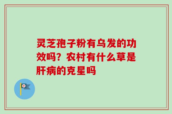 灵芝孢子粉有乌发的功效吗？农村有什么草是肝病的克星吗