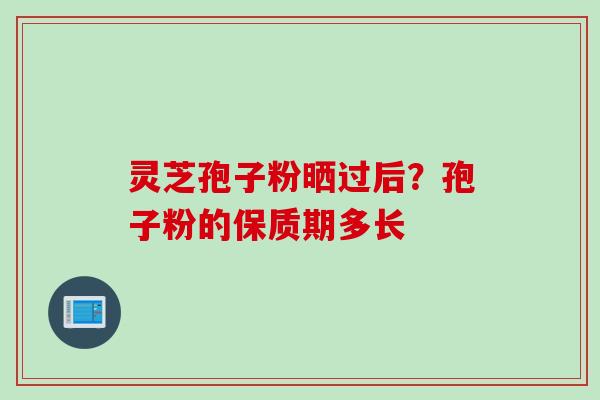 灵芝孢子粉晒过后？孢子粉的保质期多长