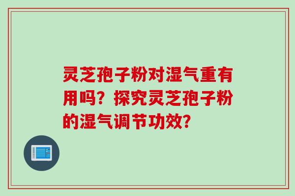 灵芝孢子粉对湿气重有用吗？探究灵芝孢子粉的湿气调节功效？