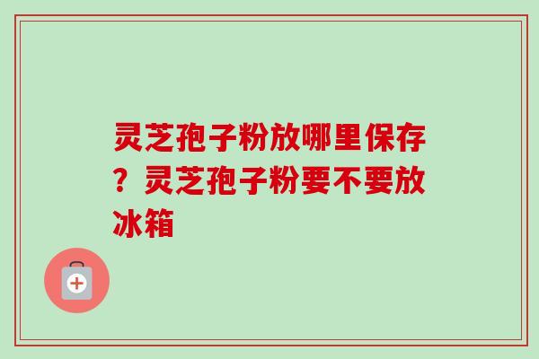 灵芝孢子粉放哪里保存？灵芝孢子粉要不要放冰箱