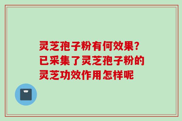 灵芝孢子粉有何效果?已采集了灵芝孢子粉的灵芝功效作用怎样呢 灵芝孢子粉有何效果?已采集了灵芝孢子粉的灵芝功效作用怎样呢