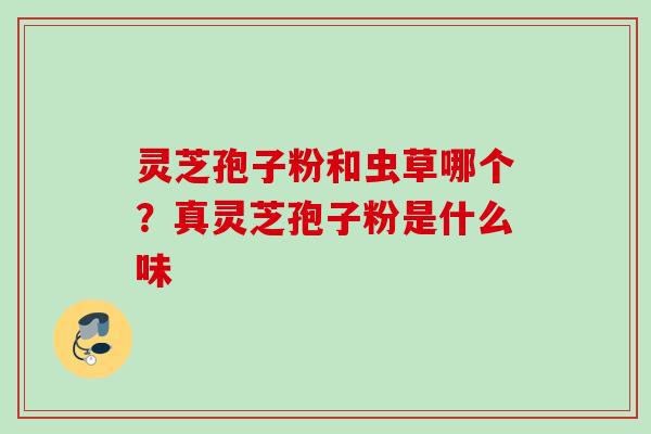 灵芝孢子粉和虫草哪个？真灵芝孢子粉是什么味