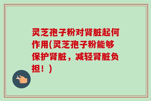 灵芝孢子粉对肾脏起何作用(灵芝孢子粉能够保护肾脏，减轻肾脏负担！)