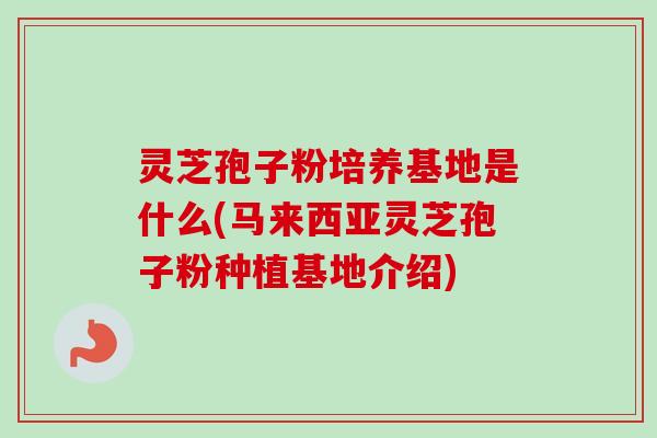 灵芝孢子粉培养基地是什么(马来西亚灵芝孢子粉种植基地介绍) 灵芝孢子粉培养基地是什么(马来西亚灵芝孢子粉种植基地介绍)