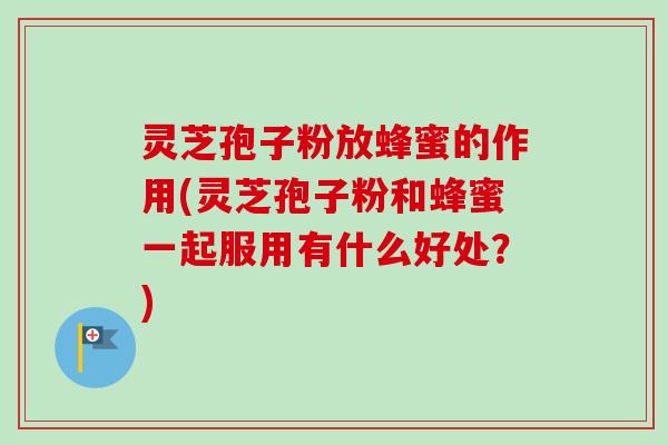 灵芝孢子粉放蜂蜜的作用(灵芝孢子粉和蜂蜜一起服用有什么好处？)