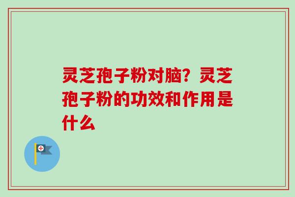 灵芝孢子粉对脑？灵芝孢子粉的功效和作用是什么