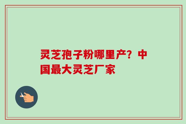 灵芝孢子粉哪里产？中国最大灵芝厂家