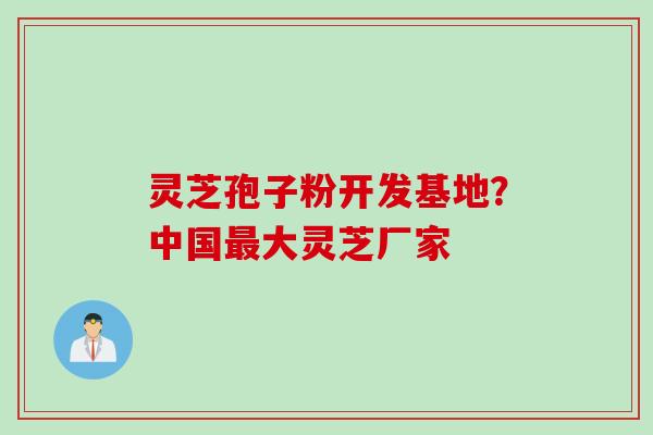 灵芝孢子粉开发基地?中国大灵芝厂家 灵芝孢子粉开发基地?中国大灵芝厂家