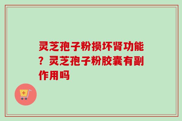 灵芝孢子粉损坏肾功能？灵芝孢子粉胶囊有副作用吗