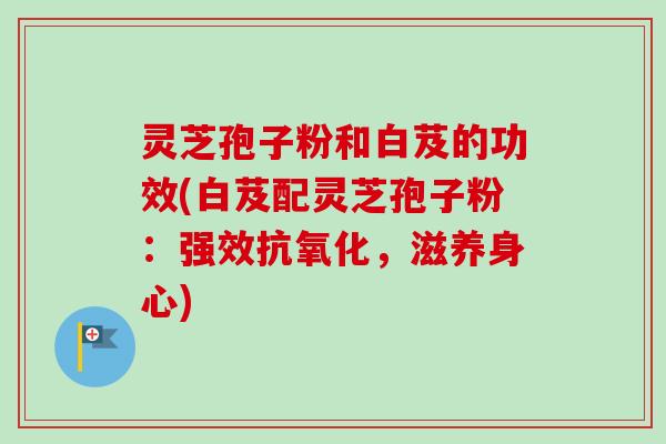 灵芝孢子粉和白芨的功效(白芨配灵芝孢子粉:强效,滋养身心) 灵芝孢子粉和白芨的功效(白芨配灵芝孢子粉:强效,滋养身心)
