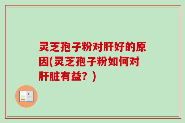 灵芝孢子粉对肝好的原因(灵芝孢子粉如何对肝脏有益？)