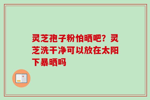 灵芝孢子粉怕晒吧？灵芝洗干净可以放在太阳下暴晒吗