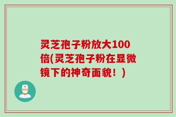灵芝孢子粉放大100倍(灵芝孢子粉在显微镜下的神奇面貌！)