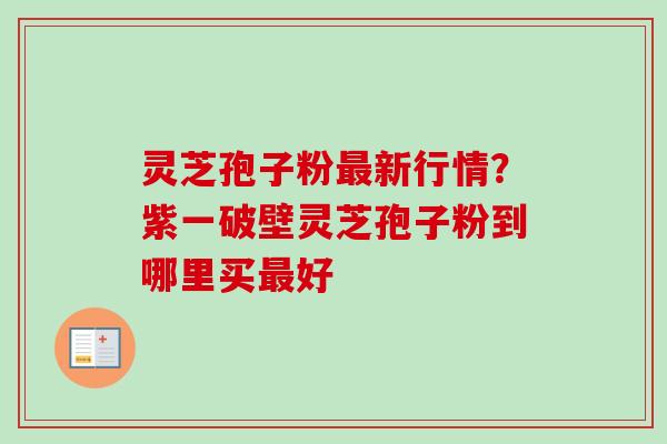 灵芝孢子粉最新行情？紫一破壁灵芝孢子粉到哪里买最好