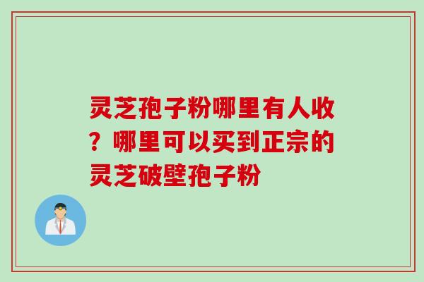 灵芝孢子粉哪里有人收？哪里可以买到正宗的灵芝破壁孢子粉