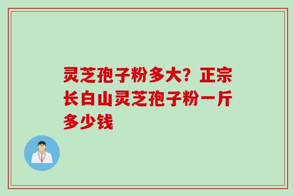 灵芝孢子粉多大？正宗长白山灵芝孢子粉一斤多少钱