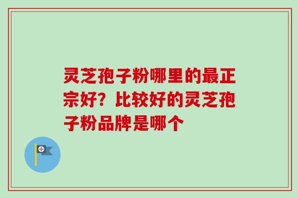 灵芝孢子粉哪里的最正宗好？比较好的灵芝孢子粉品牌是哪个