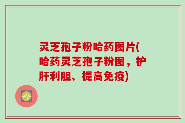 灵芝孢子粉哈药图片(哈药灵芝孢子粉图，护肝利胆、提高免疫)