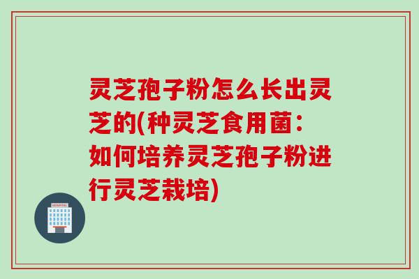 灵芝孢子粉怎么长出灵芝的(种灵芝食用菌：如何培养灵芝孢子粉进行灵芝栽培)