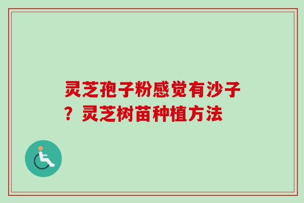 灵芝孢子粉感觉有沙子?灵芝树苗种植方法 灵芝孢子粉感觉有沙子?灵芝树苗种植方法
