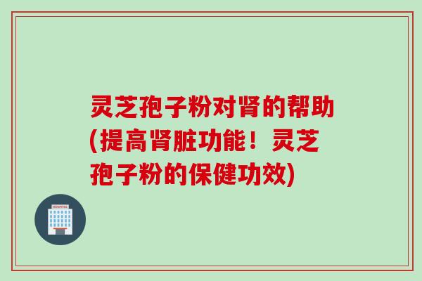 灵芝孢子粉对肾的帮助(提高肾脏功能！灵芝孢子粉的保健功效)