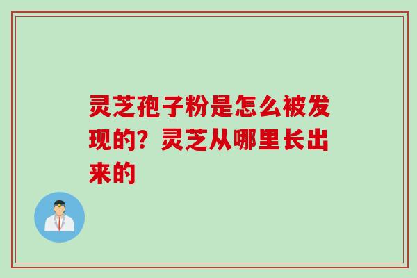 灵芝孢子粉是怎么被发现的？灵芝从哪里长出来的