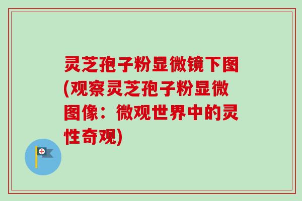 灵芝孢子粉显微镜下图(观察灵芝孢子粉显微图像：微观世界中的灵性奇观)