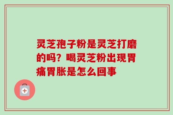 灵芝孢子粉是灵芝打磨的吗？喝灵芝粉出现胃痛胃胀是怎么回事