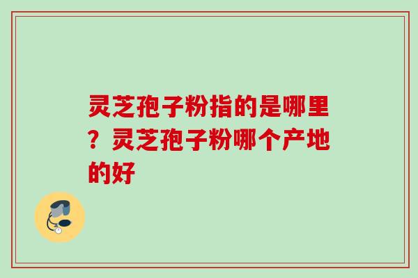 灵芝孢子粉指的是哪里？灵芝孢子粉哪个产地的好