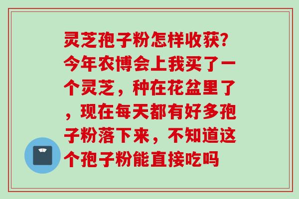 灵芝孢子粉怎样收获？今年农博会上我买了一个灵芝，种在花盆里了，现在每天都有好多孢子粉落下来，不知道这个孢子粉能直接吃吗