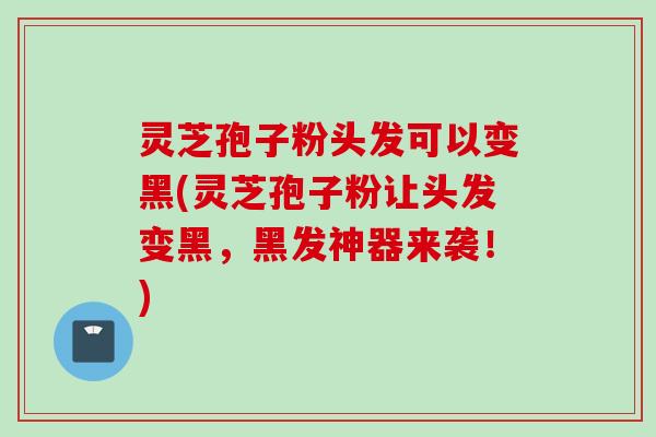 灵芝孢子粉头发可以变黑(灵芝孢子粉让头发变黑，黑发神器来袭！)