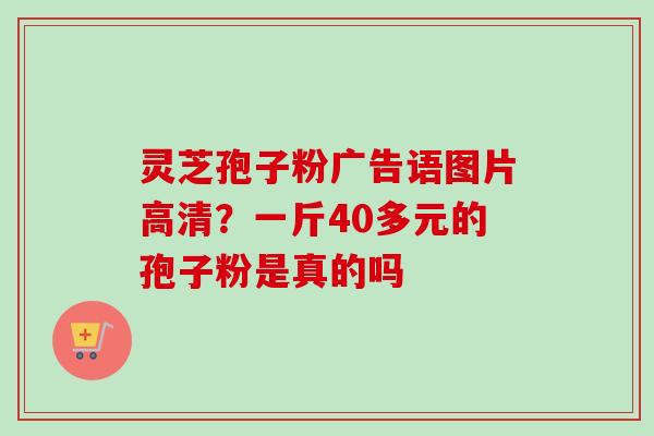 灵芝孢子粉广告语图片高清？一斤40多元的孢子粉是真的吗