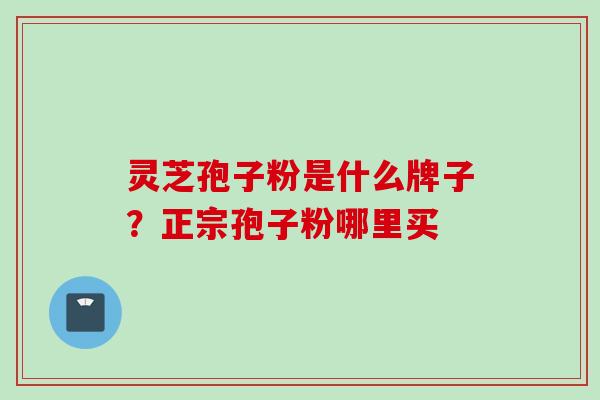 灵芝孢子粉是什么牌子？正宗孢子粉哪里买