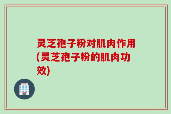 灵芝孢子粉对肌肉作用(灵芝孢子粉的肌肉功效)