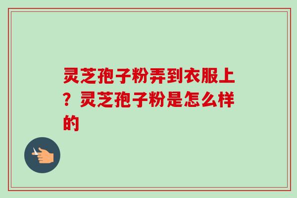 灵芝孢子粉弄到衣服上？灵芝孢子粉是怎么样的