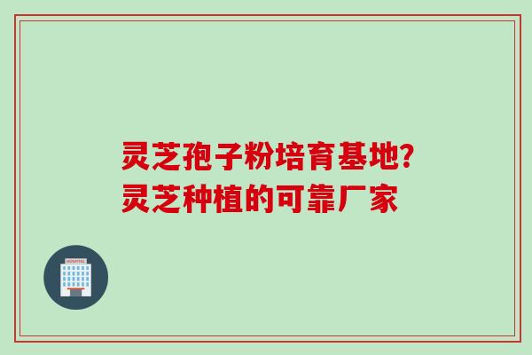 灵芝孢子粉培育基地？灵芝种植的可靠厂家