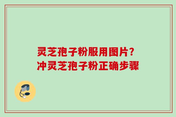 灵芝孢子粉服用图片？冲灵芝孢子粉正确步骤