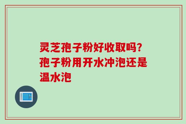 灵芝孢子粉好收取吗?孢子粉用开水冲泡还是温水泡 灵芝孢子粉好收取吗?孢子粉用开水冲泡还是温水泡
