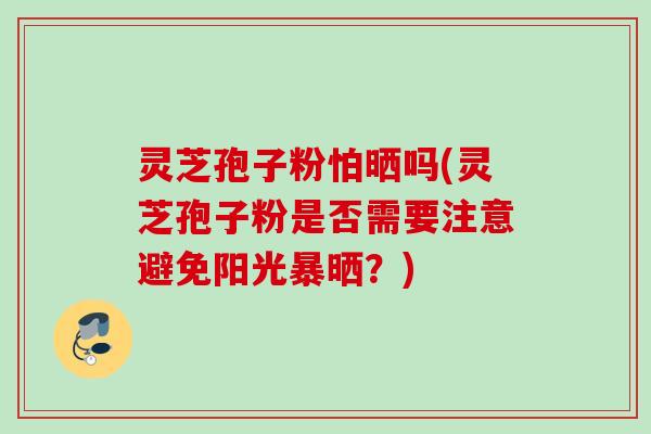 灵芝孢子粉怕晒吗(灵芝孢子粉是否需要注意避免阳光暴晒？)
