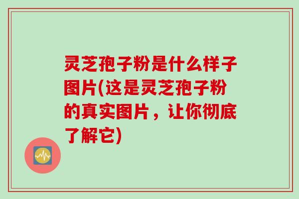 灵芝孢子粉是什么样子图片(这是灵芝孢子粉的真实图片，让你彻底了解它)