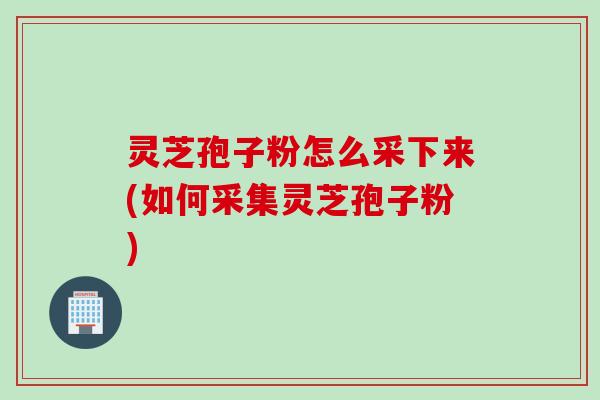 灵芝孢子粉怎么采下来(如何采集灵芝孢子粉)