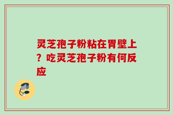 灵芝孢子粉粘在胃壁上？吃灵芝孢子粉有何反应