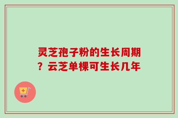 灵芝孢子粉的生长周期?云芝单棵可生长几年 灵芝孢子粉的生长周期?云芝单棵可生长几年
