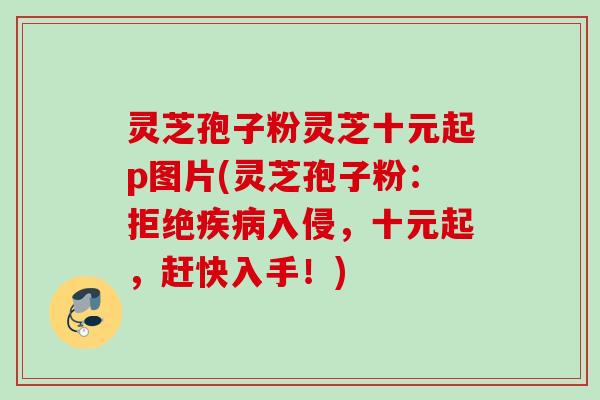 灵芝孢子粉灵芝十元起p图片(灵芝孢子粉:拒绝入侵,十元起,赶快入手!) 灵芝孢子粉灵芝十元起p图片(灵芝孢子粉:拒绝入侵,十元起,赶快入手!)