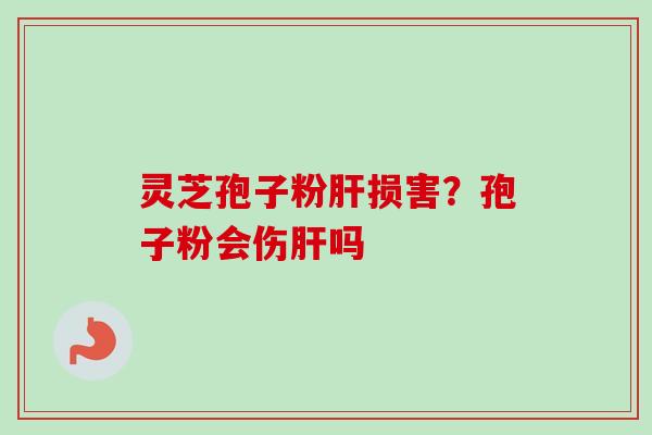 灵芝孢子粉肝损害？孢子粉会伤肝吗