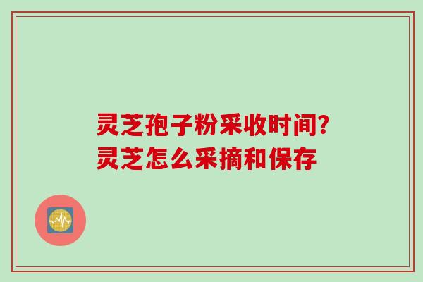 灵芝孢子粉采收时间？灵芝怎么采摘和保存