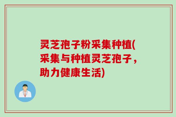 灵芝孢子粉采集种植(采集与种植灵芝孢子，助力健康生活)